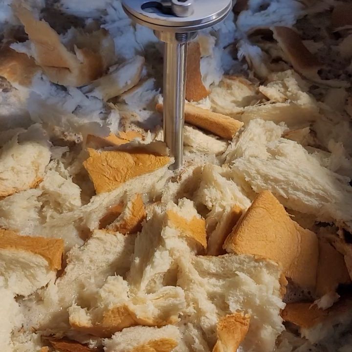 BREADY WHEAT ブレッディウィート